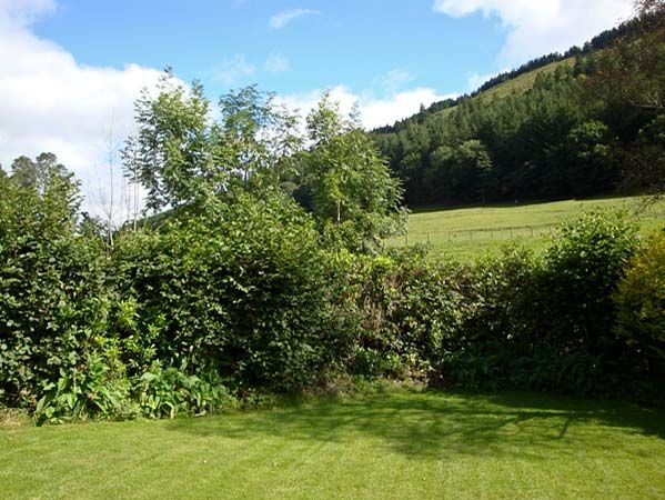 Llanbrynmair holiday cottage