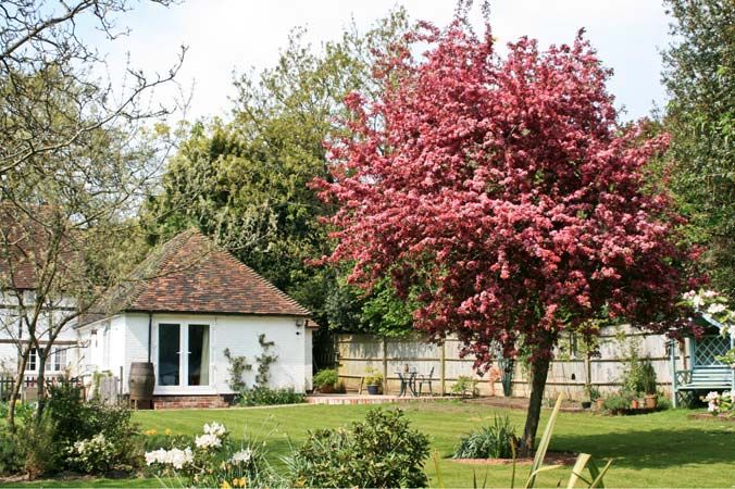 1 bedroom Cottage for rent in Henfield