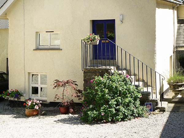 Swallows At Falkedon Cottage, Spreyton, Devon