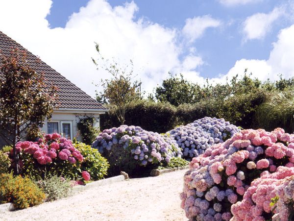 Orchard Cottage,
East Taphouse,
Cornwall