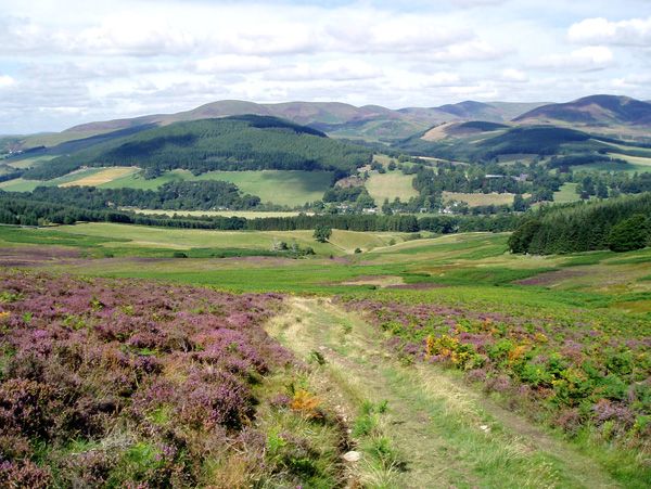 Quothquan holiday cottage