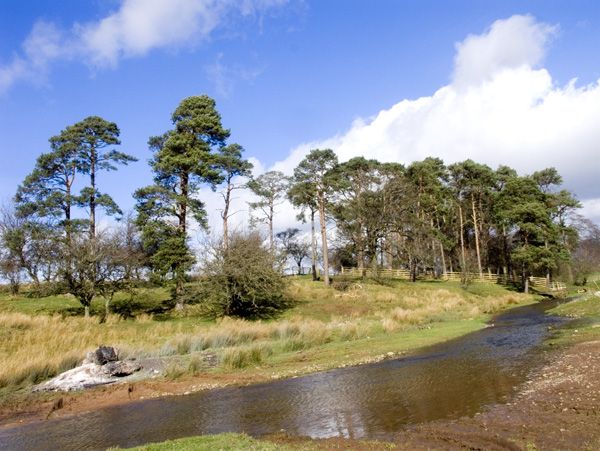 Brough holiday cottage