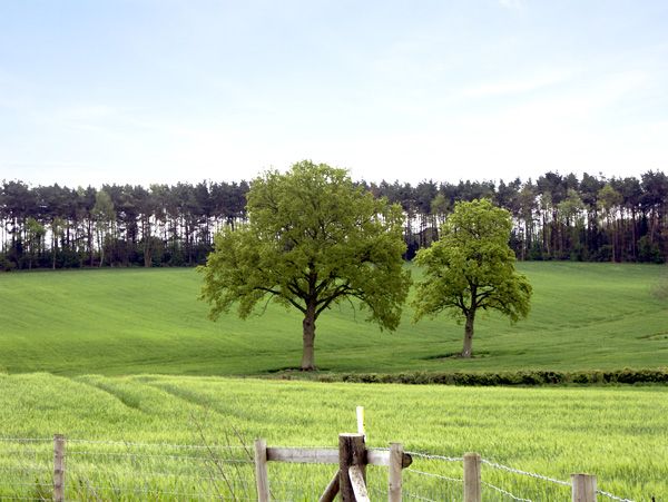 Cookley holiday cottage