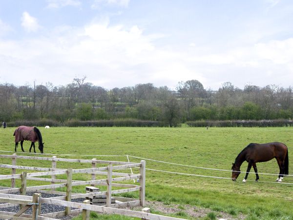 Tilstock holiday cottage