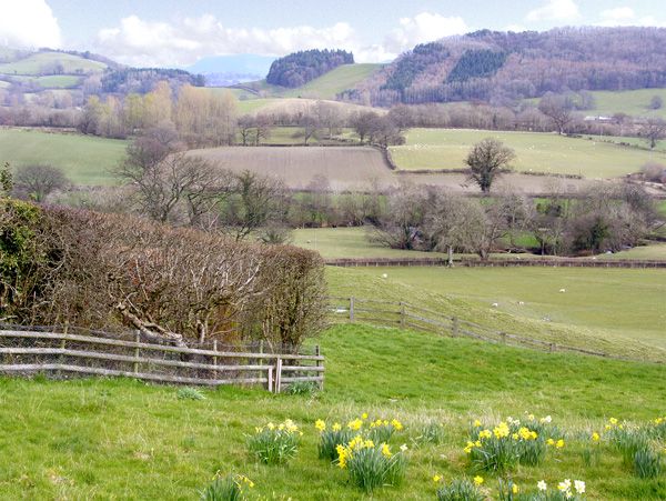 Llanfyllin holiday cottage
