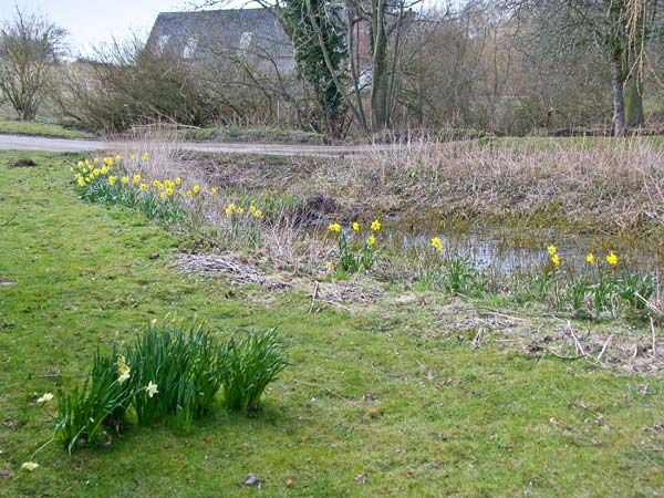 holiday let Coltishall Sweet Briar Barn