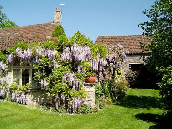 Portland holiday cottage