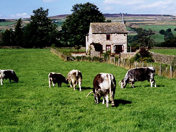Mickleton holiday cottage