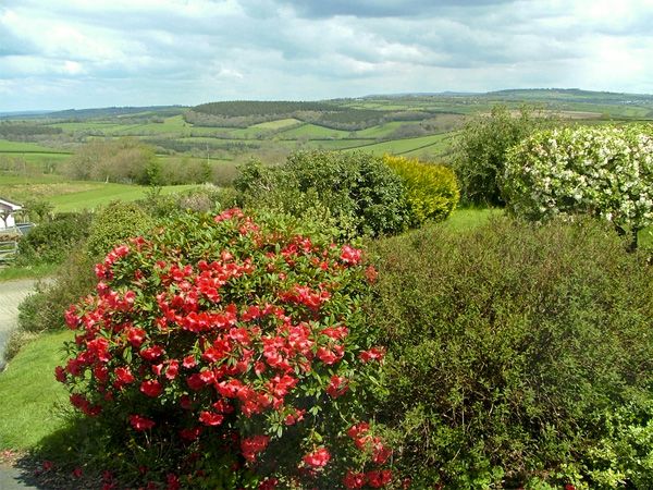 The Annexe, Pen-Y-Bryn, Trekenner – Dog Friendly Holiday Cottage Cornwall