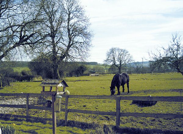 Clun holiday cottage