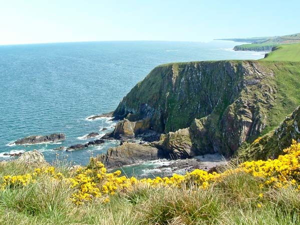 Eyemouth holiday cottage